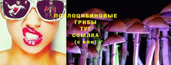 соль курить ск Белокуриха