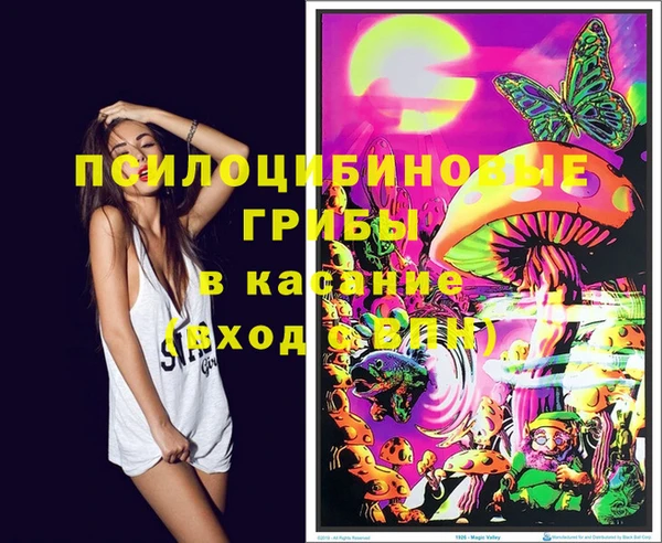 соль курить ск Белокуриха