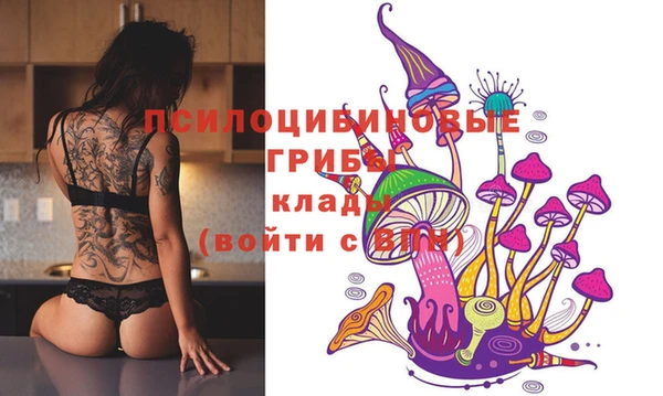 соль курить ск Белокуриха
