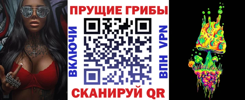 где можно купить   Пыть-Ях  Псилоцибиновые грибы Psilocybine cubensis 